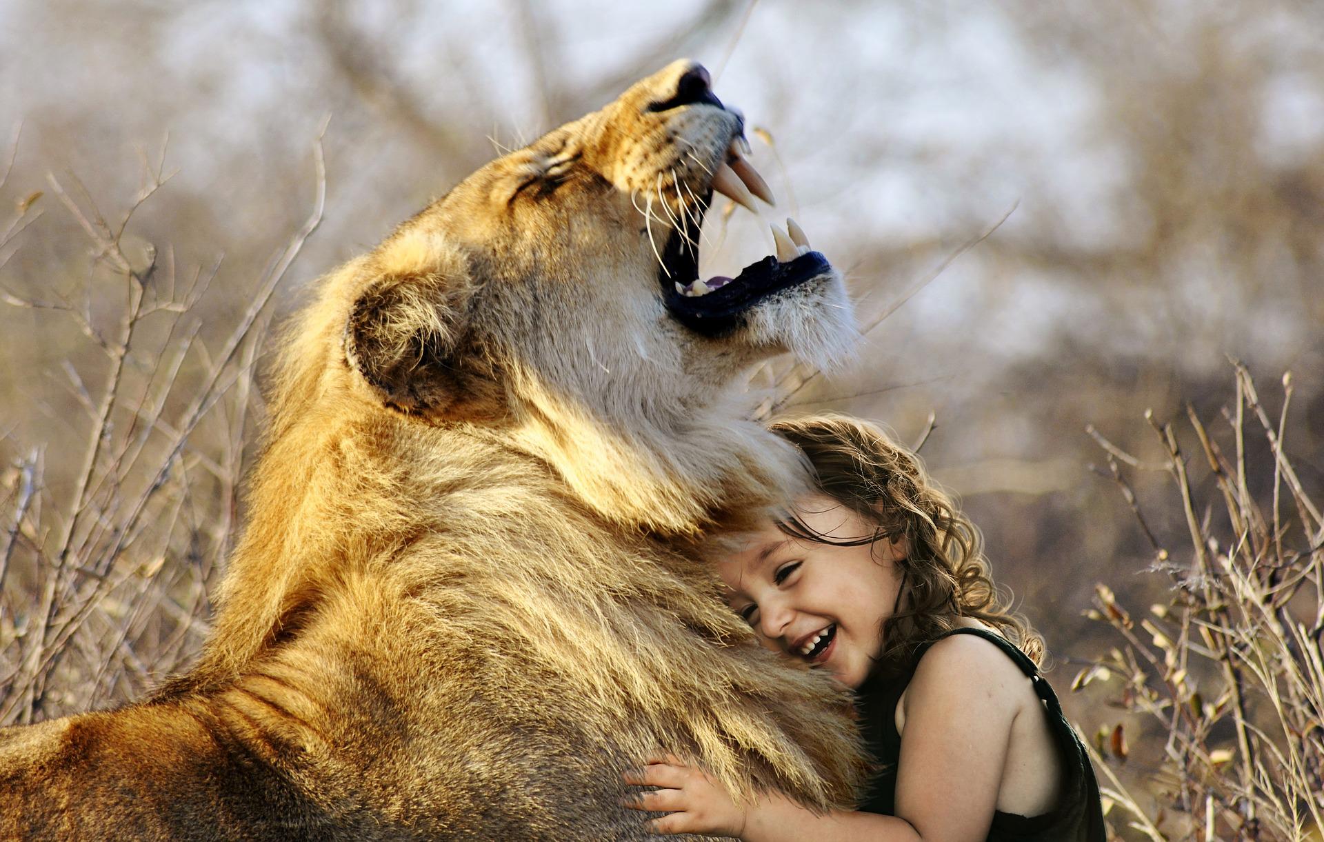 Happy Cat and Kid